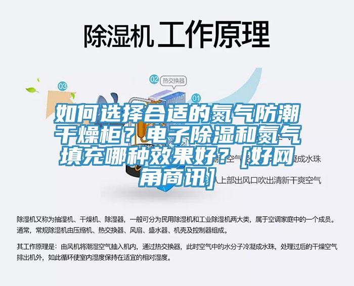 如何選擇合適的氮?dú)夥莱备稍锕?？電子除濕和氮?dú)馓畛淠姆N效果好？[好網(wǎng)角商訊]