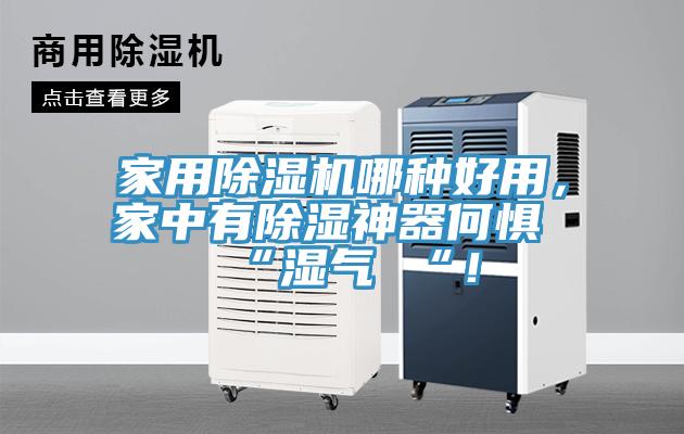 家用除濕機(jī)哪種好用，家中有除濕神器何懼 “濕氣 “！
