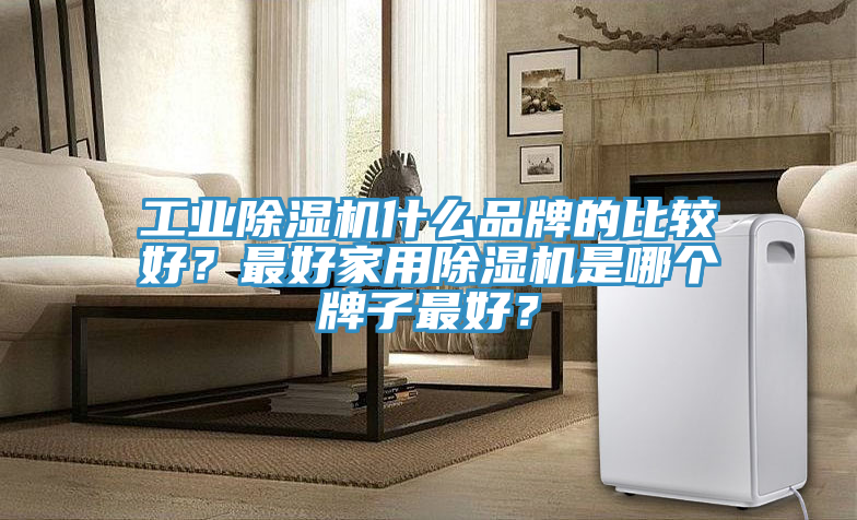 工業(yè)除濕機什么品牌的比較好？最好家用除濕機是哪個牌子最好？