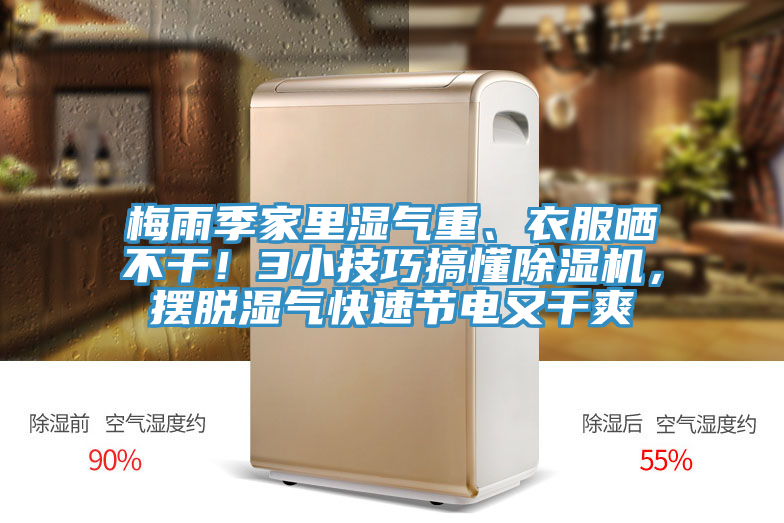 梅雨季家里濕氣重、衣服曬不干！3小技巧搞懂除濕機(jī)，擺脫濕氣快速節(jié)電又干爽
