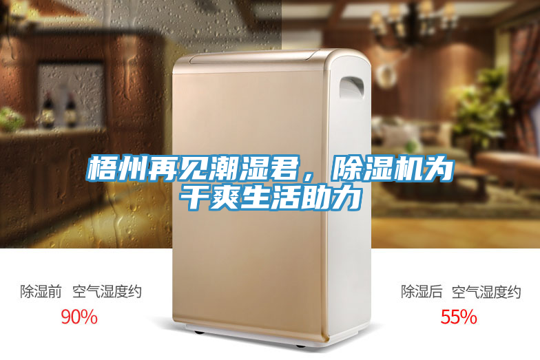 梧州再見潮濕君，除濕機(jī)為干爽生活助力
