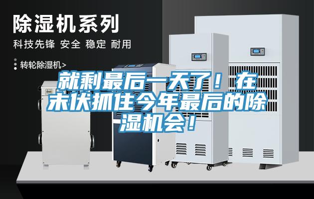 就剩最后一天了！在末伏抓住今年最后的除濕機(jī)會(huì)！