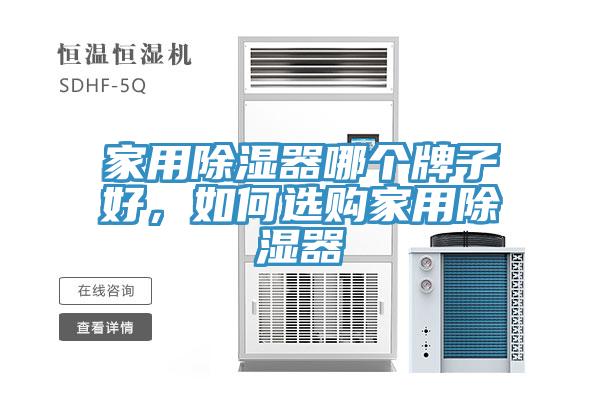 家用除濕器哪個牌子好，如何選購家用除濕器