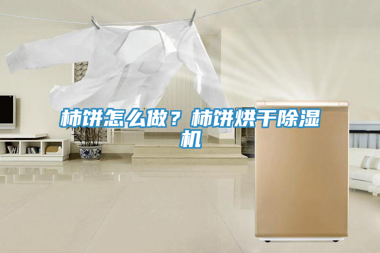 柿餅怎么做？柿餅烘干除濕機(jī)
