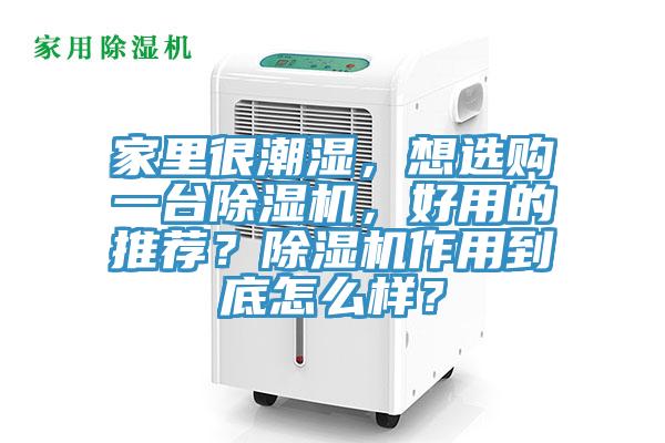 家里很潮濕，想選購(gòu)一臺(tái)除濕機(jī)，好用的推薦？除濕機(jī)作用到底怎么樣？