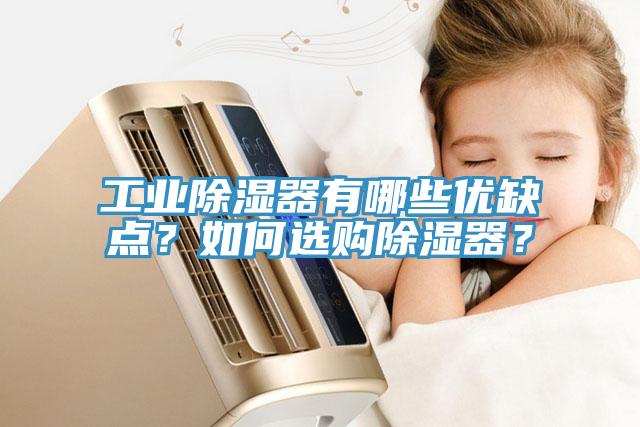 工業(yè)除濕器有哪些優(yōu)缺點(diǎn)？如何選購除濕器？