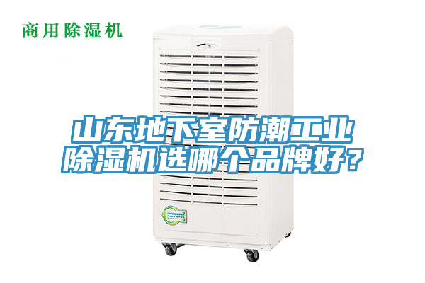 山東地下室防潮工業(yè)除濕機選哪個品牌好？