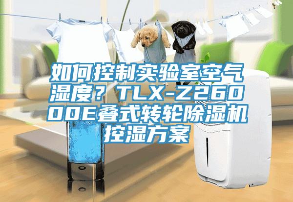 如何控制實(shí)驗(yàn)室空氣濕度？TLX-Z26000E疊式轉(zhuǎn)輪除濕機(jī)控濕方案