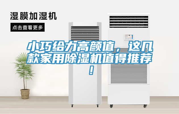 小巧給力高顏值，這幾款家用除濕機值得推薦！