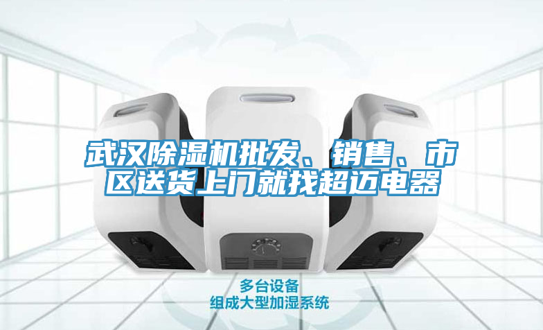 武漢除濕機批發(fā)、銷售、市區(qū)送貨上門就找超邁電器