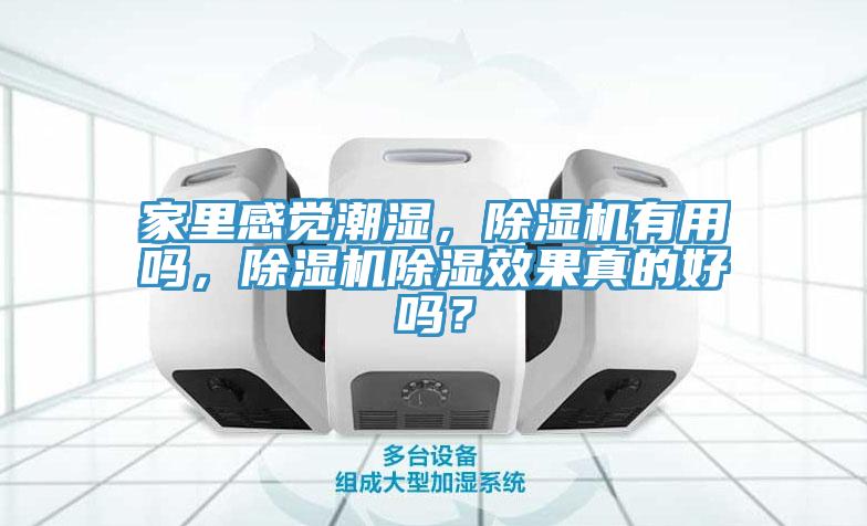 家里感覺潮濕，除濕機(jī)有用嗎，除濕機(jī)除濕效果真的好嗎？