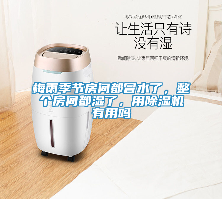 梅雨季節(jié)房間都冒水了，整個(gè)房間都濕了，用除濕機(jī)有用嗎