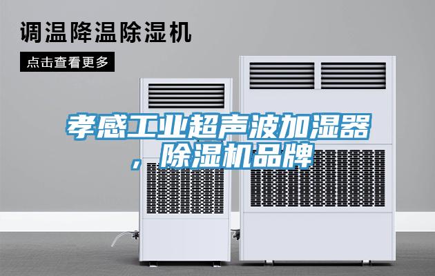 孝感工業(yè)超聲波加濕器，除濕機品牌