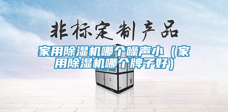 家用除濕機(jī)哪個(gè)噪聲?。矣贸凉駲C(jī)哪個(gè)牌子好）