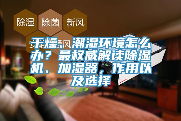 干燥、潮濕環(huán)境怎么辦？最權(quán)威解讀除濕機(jī)、加濕器，作用以及選擇