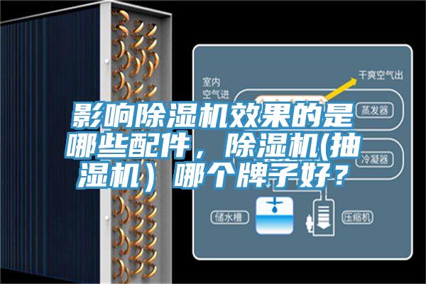 影響除濕機效果的是哪些配件，除濕機(抽濕機）哪個牌子好？
