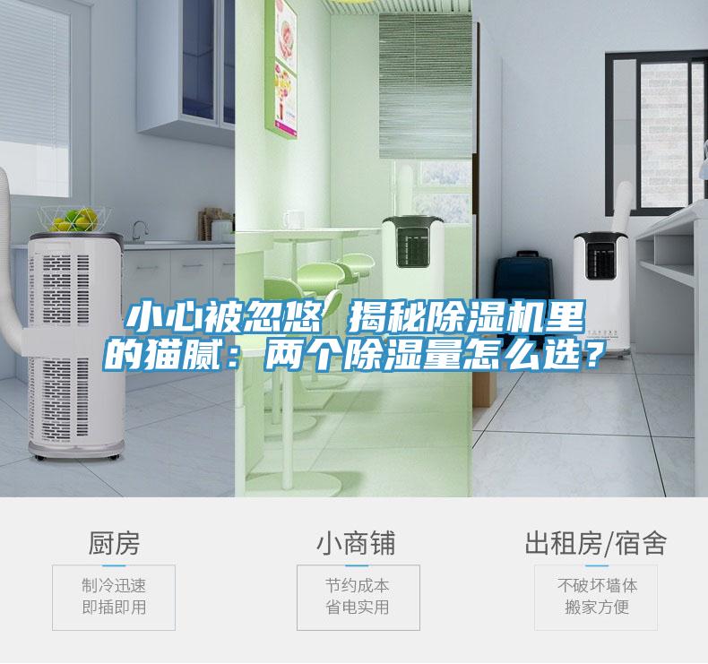 小心被忽悠 揭秘除濕機(jī)里的貓膩：兩個(gè)除濕量怎么選？