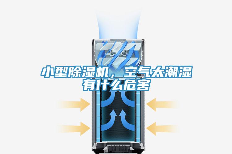 小型除濕機(jī)，空氣太潮濕有什么危害
