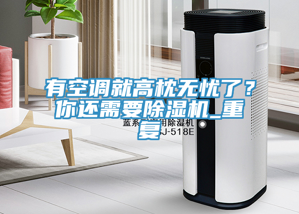 有空調(diào)就高枕無憂了？你還需要除濕機(jī)_重復(fù)