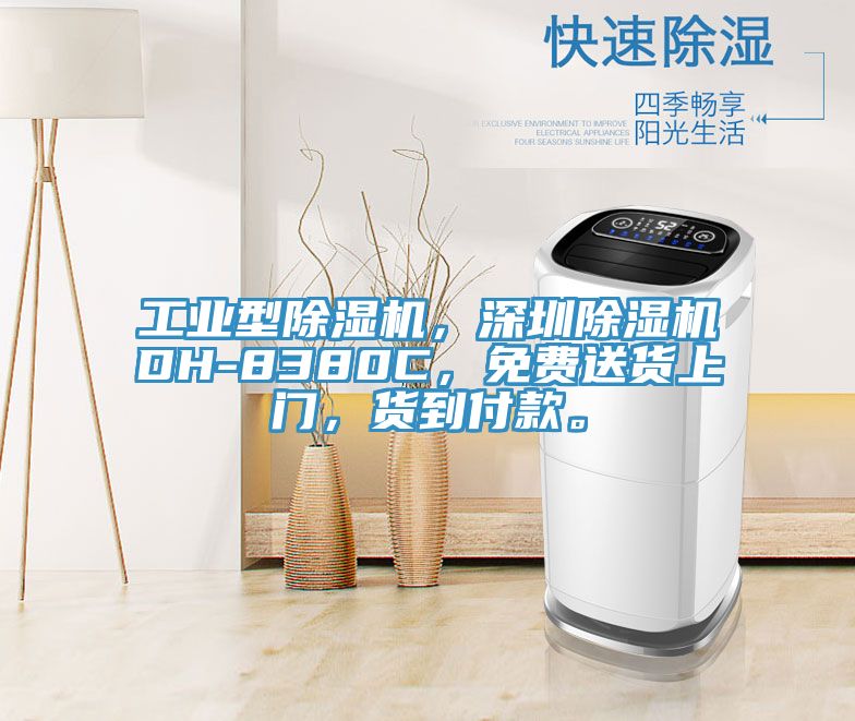 工業(yè)型除濕機，深圳除濕機DH-8380C，免費送貨上門，貨到付款。