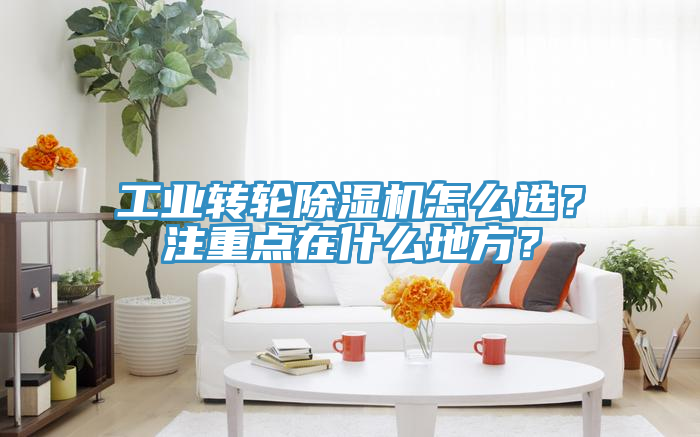 工業(yè)轉(zhuǎn)輪除濕機(jī)怎么選？注重點(diǎn)在什么地方？