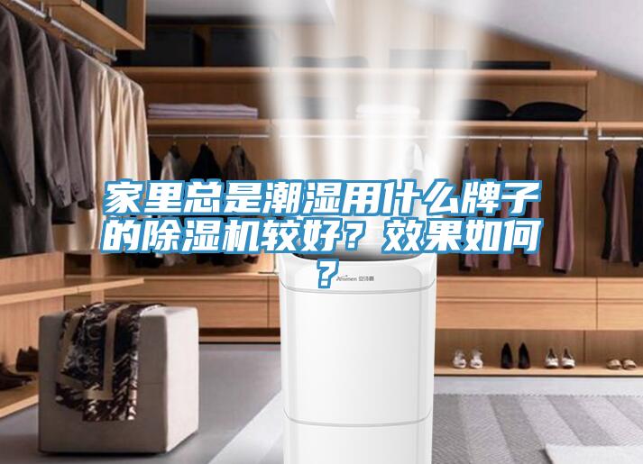 家里總是潮濕用什么牌子的除濕機(jī)較好？效果如何？