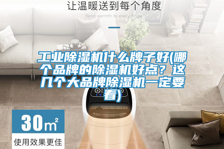 工業(yè)除濕機什么牌子好(哪個品牌的除濕機好點？這幾個大品牌除濕機一定要看)