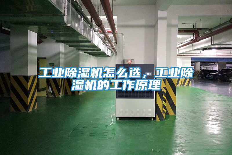 工業(yè)除濕機怎么選，工業(yè)除濕機的工作原理