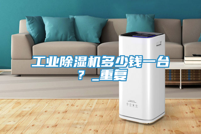 工業(yè)除濕機多少錢一臺？_重復