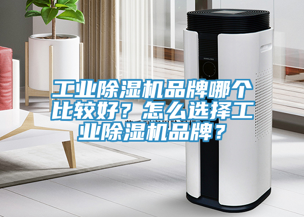 工業(yè)除濕機品牌哪個比較好？怎么選擇工業(yè)除濕機品牌？