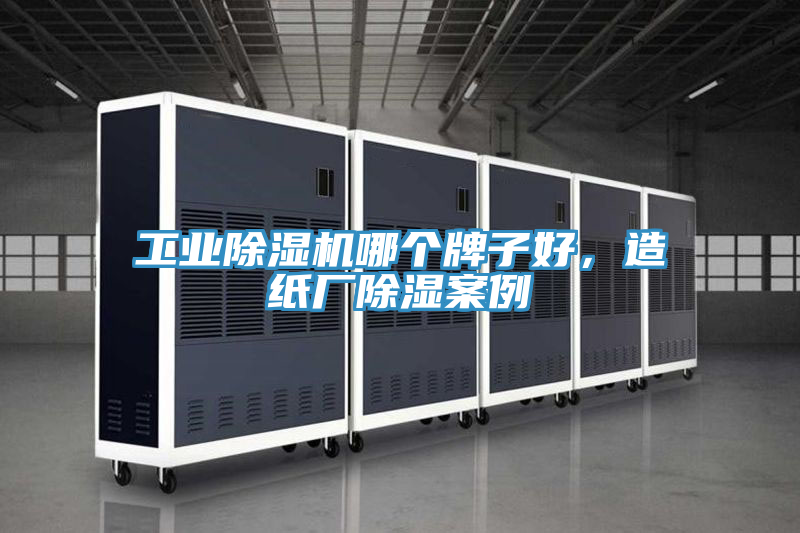 工業(yè)除濕機(jī)哪個(gè)牌子好，造紙廠除濕案例