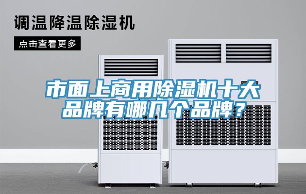 市面上商用除濕機十大品牌有哪幾個品牌？
