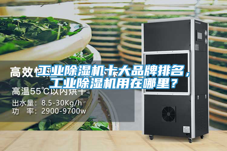 工業(yè)除濕機(jī)十大品牌排名，工業(yè)除濕機(jī)用在哪里？
