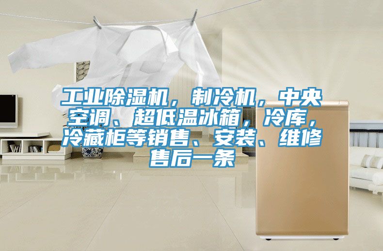 工業(yè)除濕機(jī)，制冷機(jī)，中央空調(diào)、超低溫冰箱，冷庫(kù)，冷藏柜等銷售、安裝、維修售后一條
