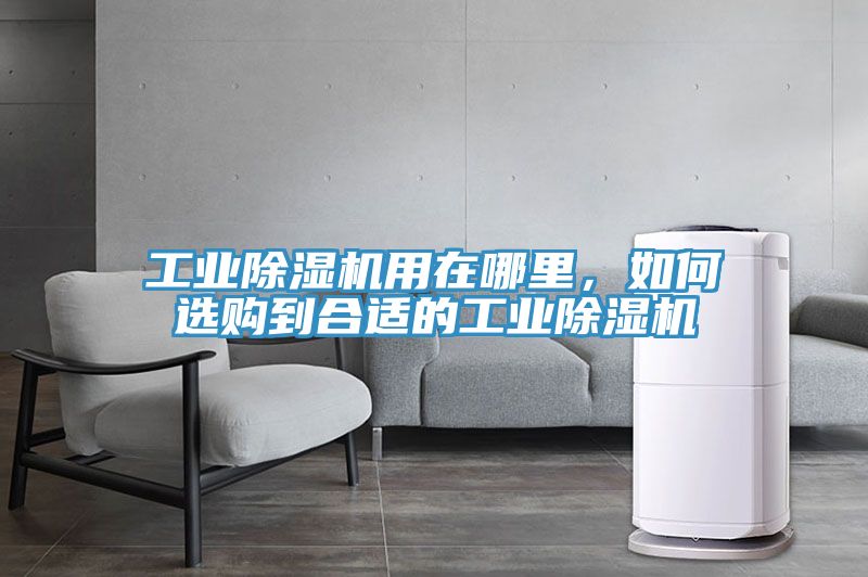 工業(yè)除濕機(jī)用在哪里，如何選購(gòu)到合適的工業(yè)除濕機(jī)