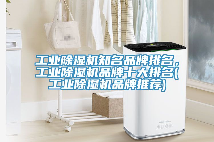 工業(yè)除濕機(jī)知名品牌排名，工業(yè)除濕機(jī)品牌十大排名(工業(yè)除濕機(jī)品牌推薦)