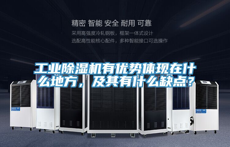 工業(yè)除濕機(jī)有優(yōu)勢(shì)體現(xiàn)在什么地方，及其有什么缺點(diǎn)？