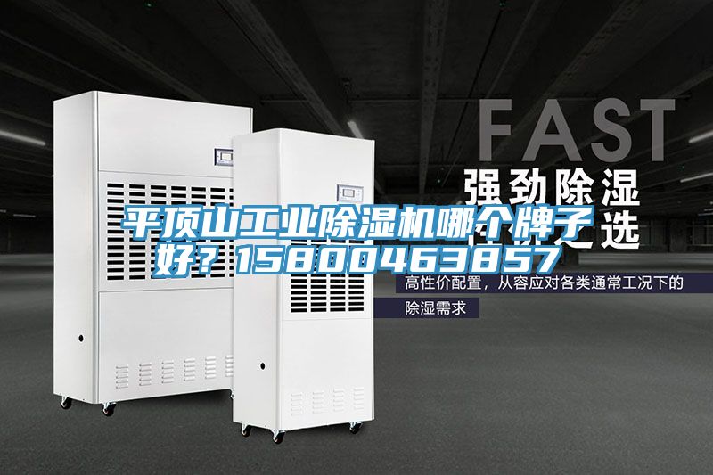平頂山工業(yè)除濕機(jī)哪個牌子好？15800463857