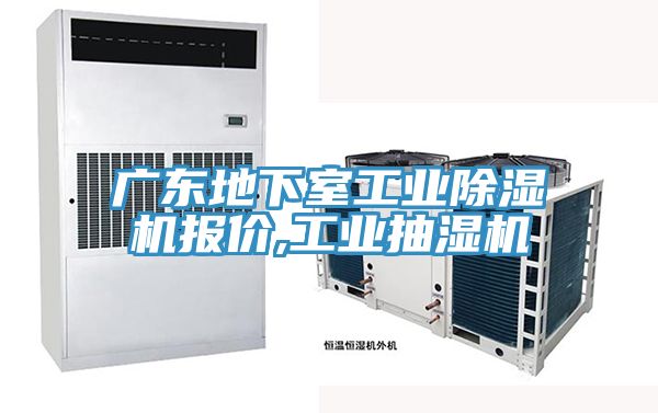 廣東地下室工業(yè)除濕機(jī)報價,工業(yè)抽濕機(jī)