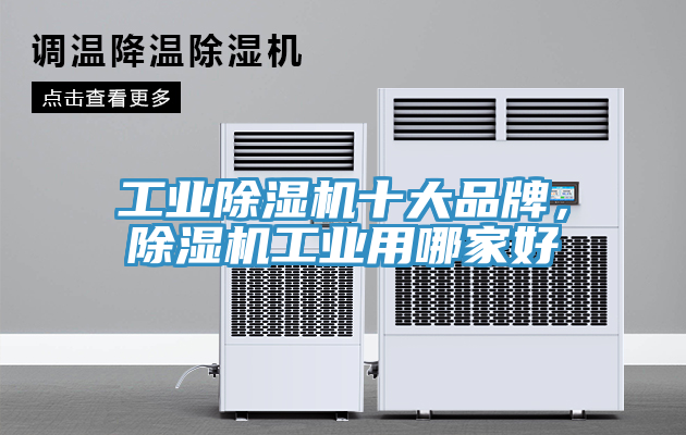 工業(yè)除濕機(jī)十大品牌，除濕機(jī)工業(yè)用哪家好