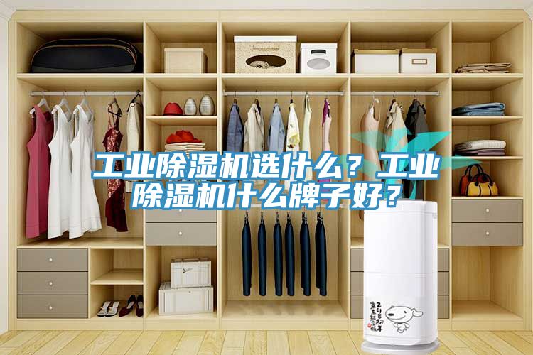 工業(yè)除濕機選什么？工業(yè)除濕機什么牌子好？