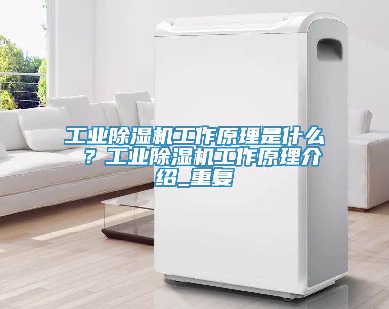 工業(yè)除濕機(jī)工作原理是什么 ？工業(yè)除濕機(jī)工作原理介紹_重復(fù)