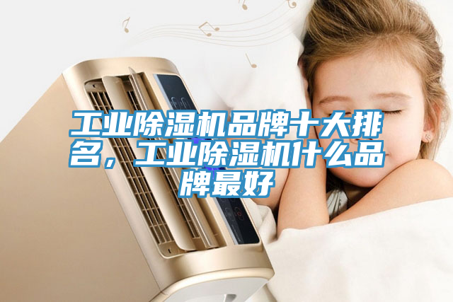工業(yè)除濕機品牌十大排名，工業(yè)除濕機什么品牌最好