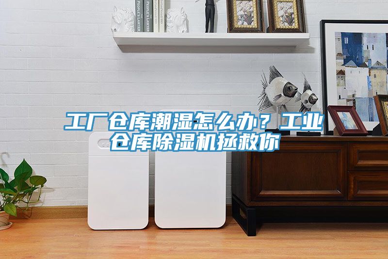 工廠倉庫潮濕怎么辦？工業(yè)倉庫除濕機(jī)拯救你