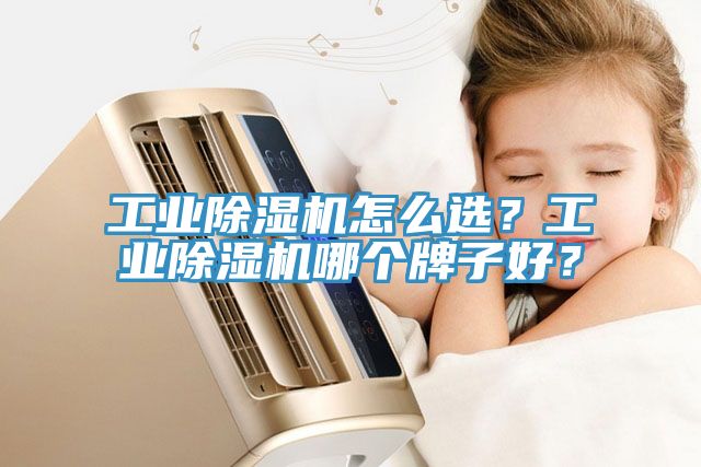 工業(yè)除濕機(jī)怎么選？工業(yè)除濕機(jī)哪個(gè)牌子好？