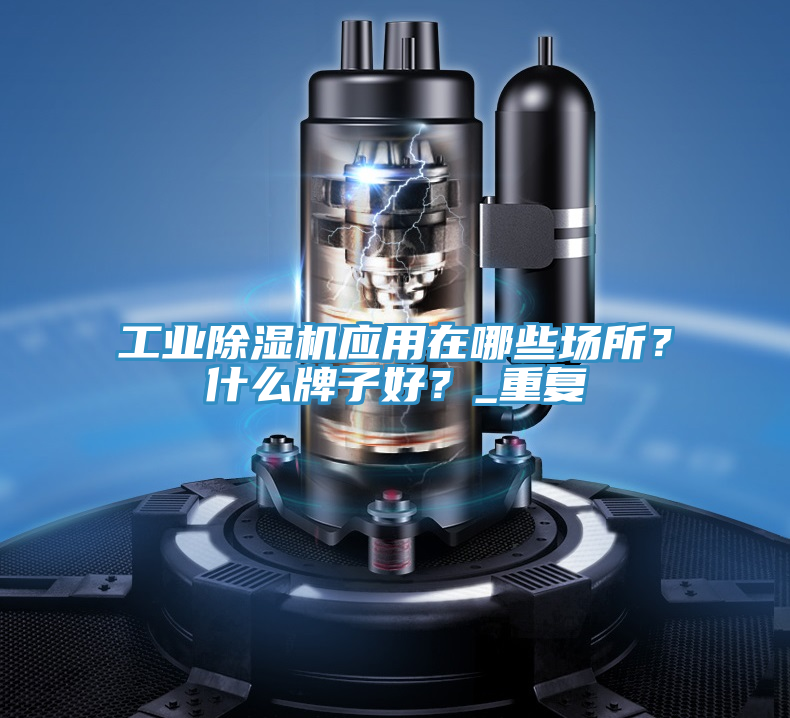 工業(yè)除濕機(jī)應(yīng)用在哪些場(chǎng)所？什么牌子好？_重復(fù)