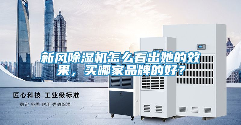 新風(fēng)除濕機(jī)怎么看出她的效果，買哪家品牌的好？