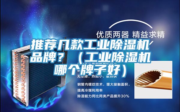 推薦幾款工業(yè)除濕機(jī)品牌？（工業(yè)除濕機(jī)哪個牌子好）