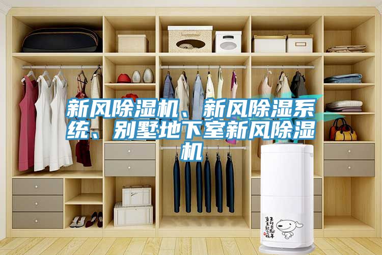 新風(fēng)除濕機、新風(fēng)除濕系統(tǒng)、別墅地下室新風(fēng)除濕機