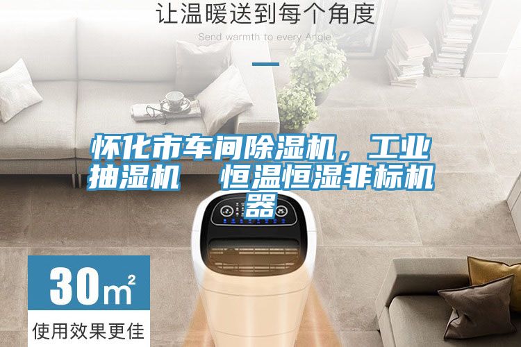 懷化市車間除濕機，工業(yè)抽濕機  恒溫恒濕非標機器